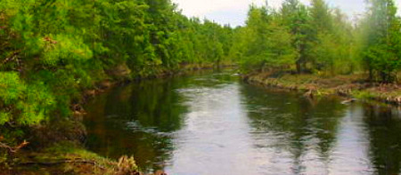 Oswego River