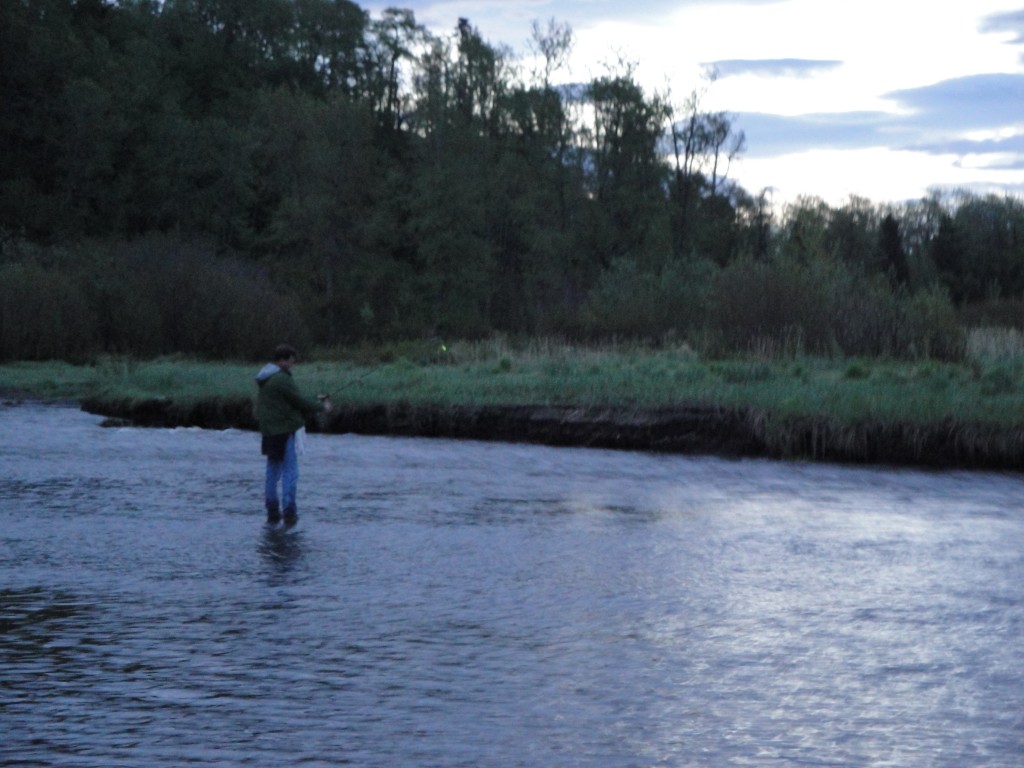 deep creek slamon fishing alaska