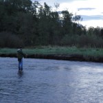 deep creek slamon fishing alaska