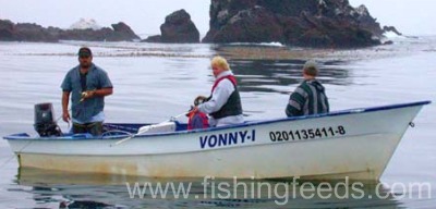 photo of panga fishing boat