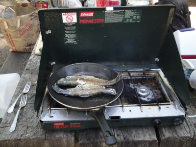 cooking rainbow trout